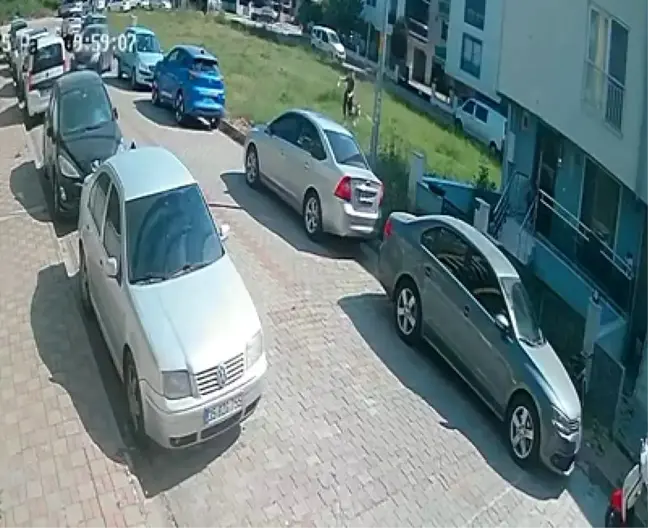 Köpek Saldırısında Yaralanan Öğrenci Hastaneye Kaldırıldı
