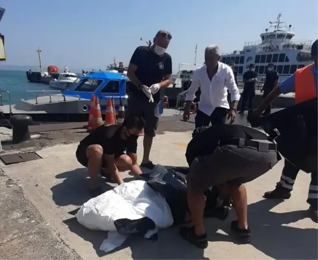 Yalova'da denizde erkek cesedi bulundu