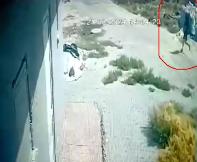 Diyarbakır'da 8 Yaşındaki Narin Güran'ın Cansız Bedeni Bulundu
