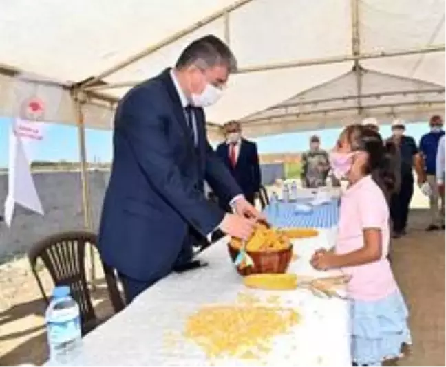 Vali Yılmaz mısır hasadına katıldı