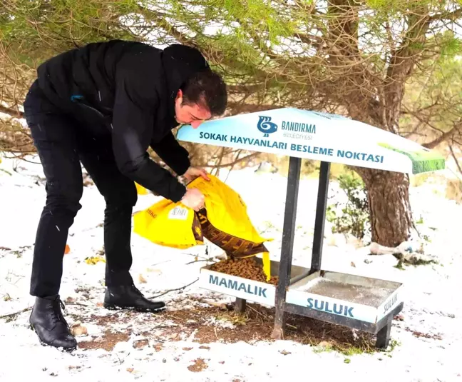 Başkan Tosun'dan can dostlara şefkat eli