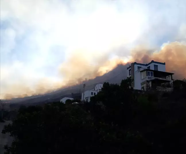 Muğla'da Makilik Alanda Yangın