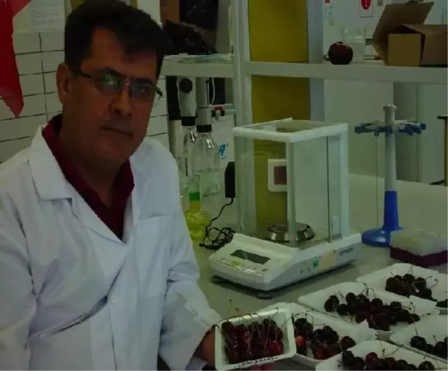 Kirazın Raf Ömrünü Uzatan Proje