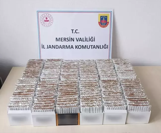 Mersin'de kaçak sigara operasyonu: 8 bin 720 makaron ele geçirildi