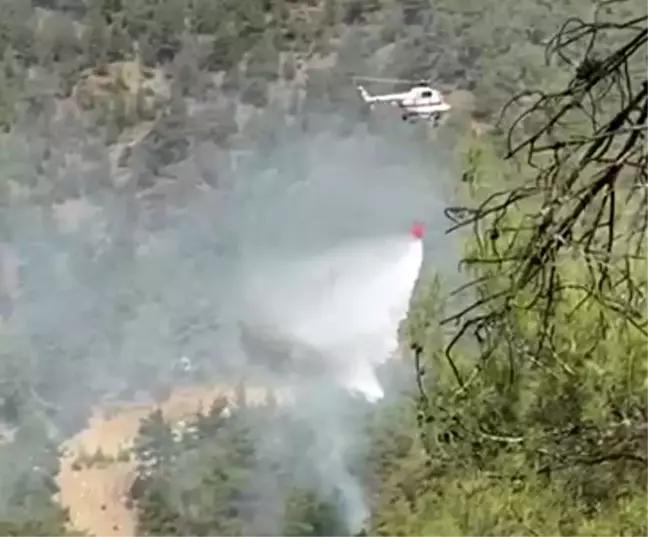Son dakika haberi: Tavşanlı'da orman yangını