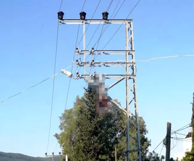 Elektrik direğinde akıma kapılarak hayatını kaybetti