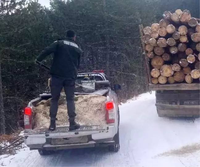 Kar Yağışı ve Don, Simav'daki Nakliyatı Aksattı