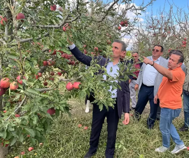 Isparta'da Dolu Felaketi: 16 Bin Dekar Elma Bahçesi Zarar Gördü