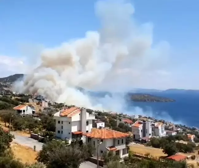 İzmir'deki Orman Yangınında Evlere Yakın Olma Tehlikesi