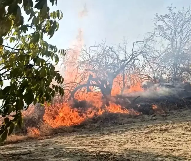 Denizli'de 7 Ayrı Noktada Yangın Çıktı