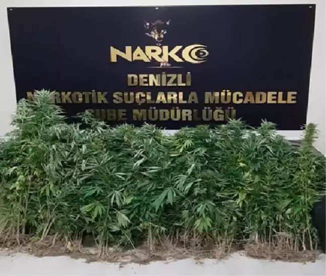 Son dakika haberleri... Denizli'de uyuşturucu operasyonuna 13 gözaltı