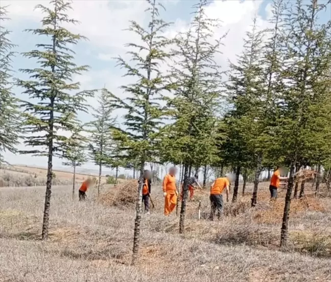 Kırşehir'de Hükümlülerden Sosyal Proje Çalışmaları