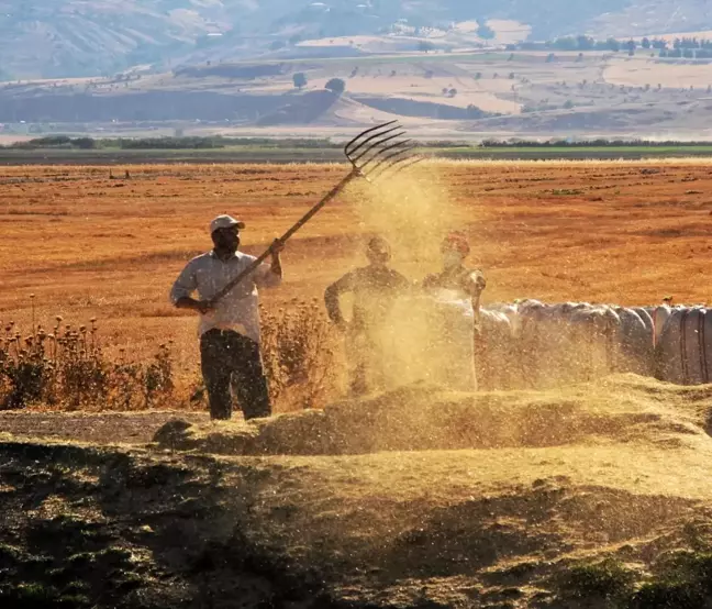 Tarımsal Girdi Fiyat Endeksi Yüzde 32,59 Arttı