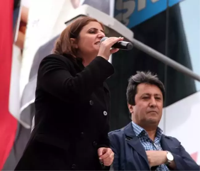 Hdp'li Özsoy: Bu Referandumun Hiçbir Mantıklı Gerekçesi Yok