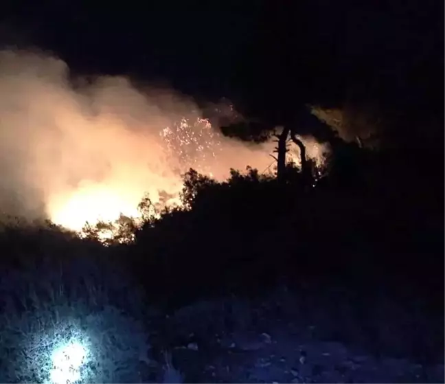 Osmaniye'de orman yangını