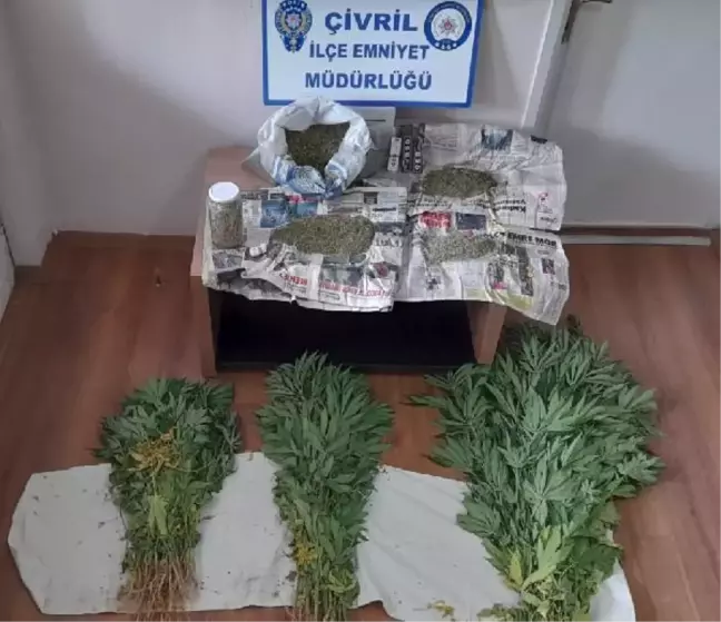 Denizli'de Hint keneviri operasyonu