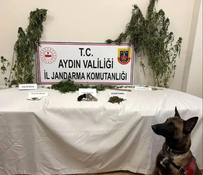 Aydın'da Uyuşturucu Baskını: 1 Şüpheli Yakalandı