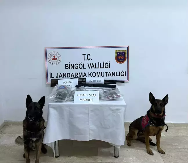 Bingöl'de Uyuşturucu Operasyonu: 8 Kilo Esrar ve 4 Bin 915 Kök Kenevir Ele Geçirildi