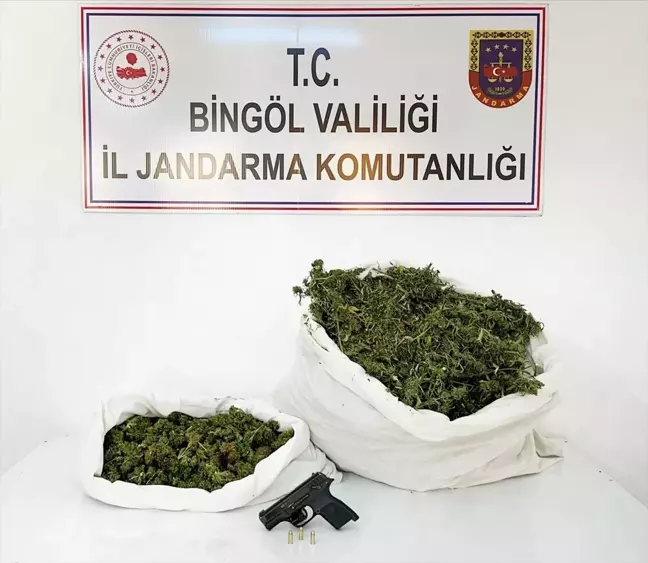 Bingöl'de 12 Kilo Esrar Ele Geçirildi, 1 Şüpheli Gözaltına Alındı