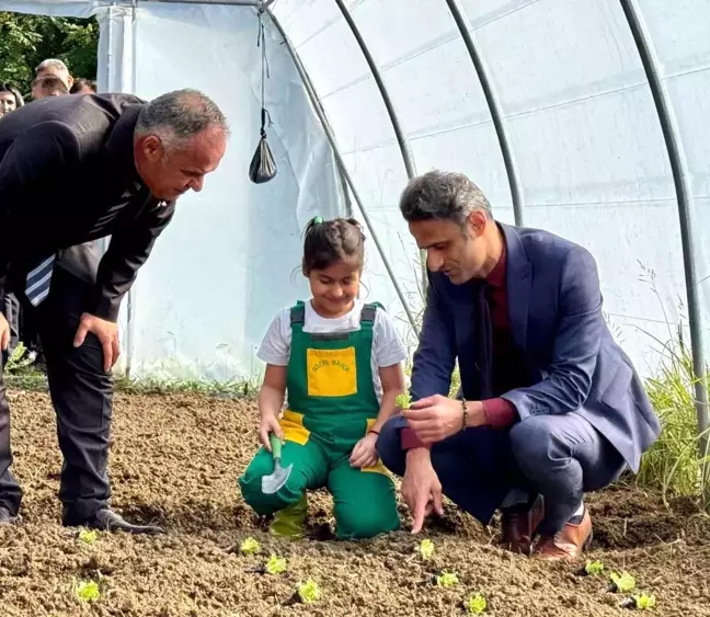 Minik eller Çaycuma'da üretti