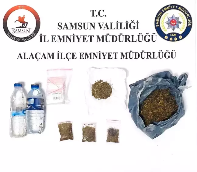 Samsun'da Uyuşturucu Operasyonu: Bonzai ve Kenevir Tohumu Ele Geçirildi