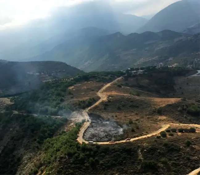Hatay'da orman yangını