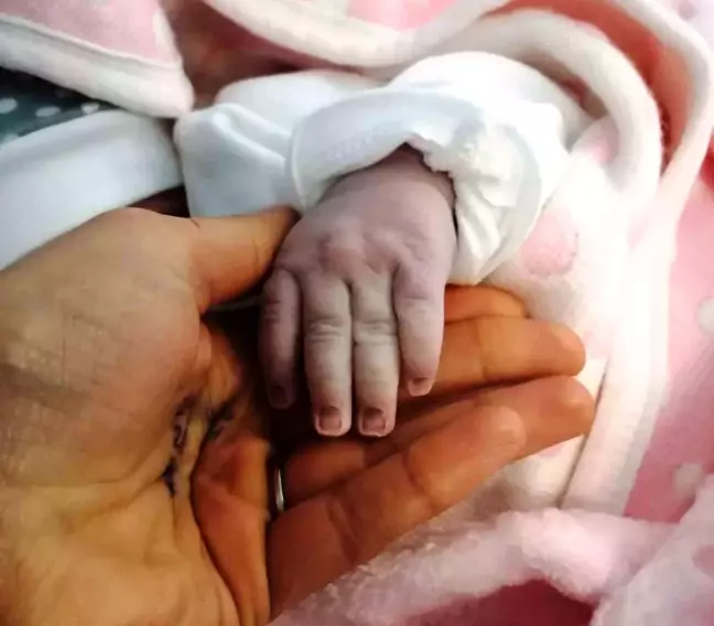 Samsun'da Canlı Doğan Bebek Sayısı Yüzde 20,10 Azaldı