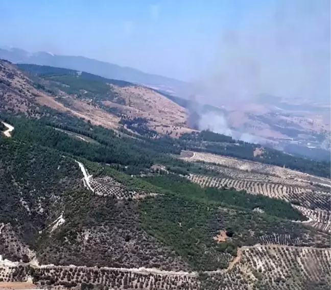 Hatay'da Orman Yangını