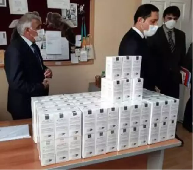 Kafkas arısını