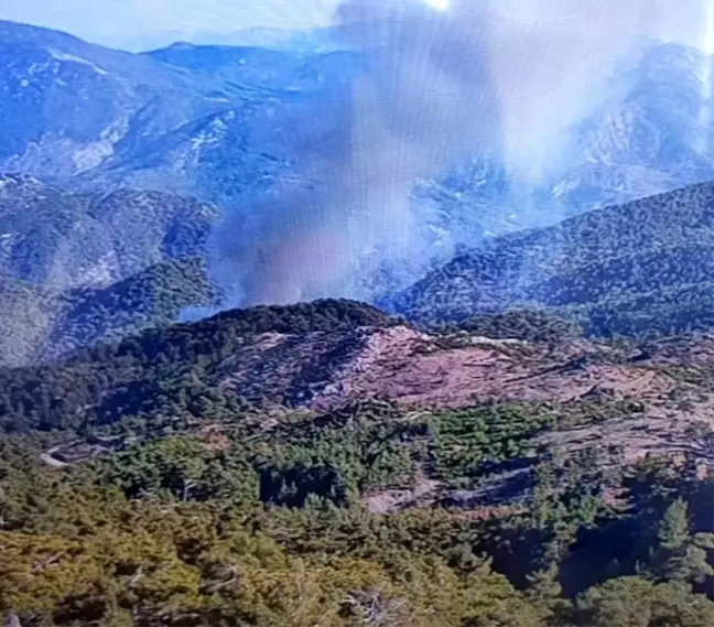 Muğla'da Orman Yangını Söndürme Çalışmaları Devam Ediyor