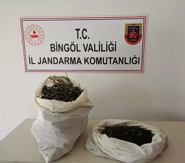 Bingöl'de Uyuşturucu Operasyonu: 7 Kilo 150 Gram Esrar Ele Geçirildi