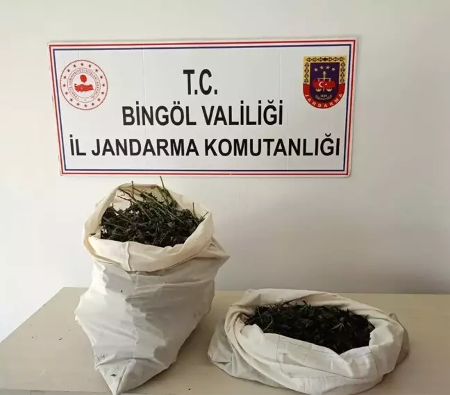 Bingöl'de Jandarma, 7 Kilo 150 Gram Esrar Ele Geçirdi