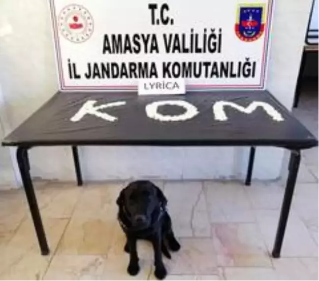 Evinde binden fazla uyuşturucu hap ele geçirilen şahıs tutuklandı