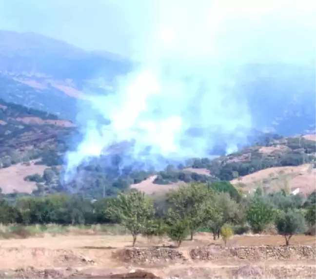 Ödemiş'te Makilik Alanda Yangın