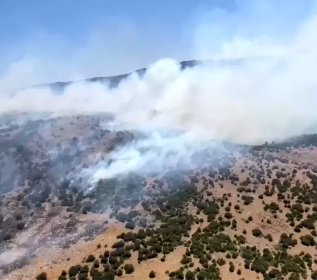 Manisa'nın Kırkağaç ilçesinde orman yangınına müdahale devam ediyor