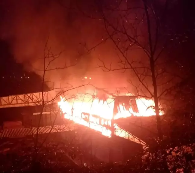 Sinop'ta bir fabrikada çıkan yangın kontrol altına alındı