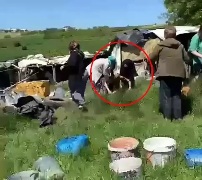 Yangını söndürmek isterken yanmıştı, dehşet anları kameralara yansıdı- Alev alev yanan barakadan vatandaşın kendini dışarı attığı anlar kamerada