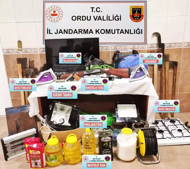 Ordu'da 5 Evden Hırsızlık Yapan Şüphelilerden Birisi Tutuklandı