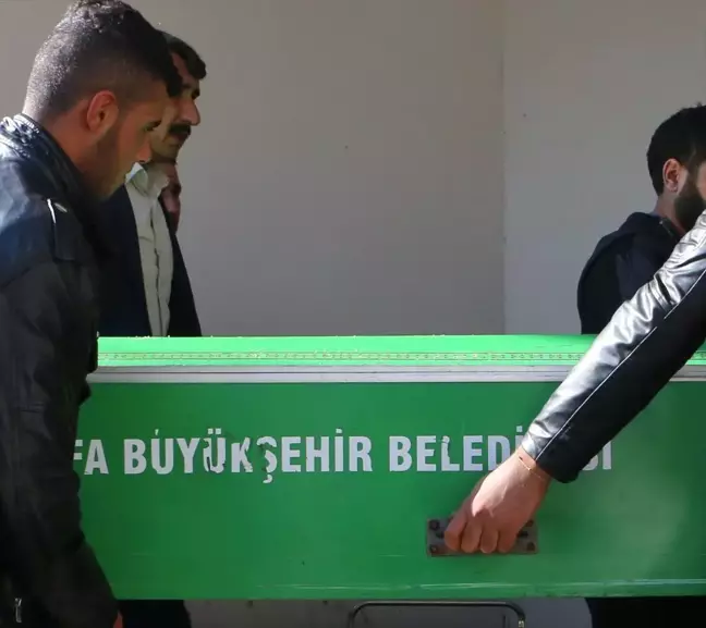 Şanlıurfa'da Traktörden Düşen Çocuk Öldü