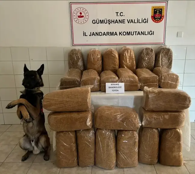 Gümüşhane'de Kaçak Tütün Operasyonu: 138 Kilogram Ele Geçirildi