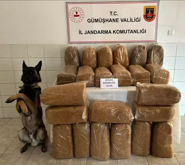 Gümüşhane'de Bandrolsüz 138 Kilogram Tütün Ele Geçirildi