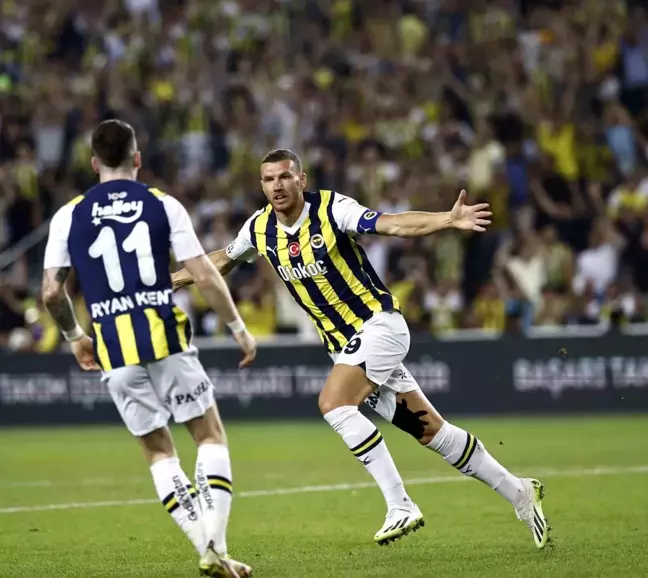 Fenerbahçe'nin yaz transfer dönemi dosyası
