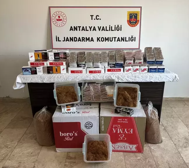 Antalya'da kaçak tütün operasyonunda 2 şüpheli gözaltına alındı