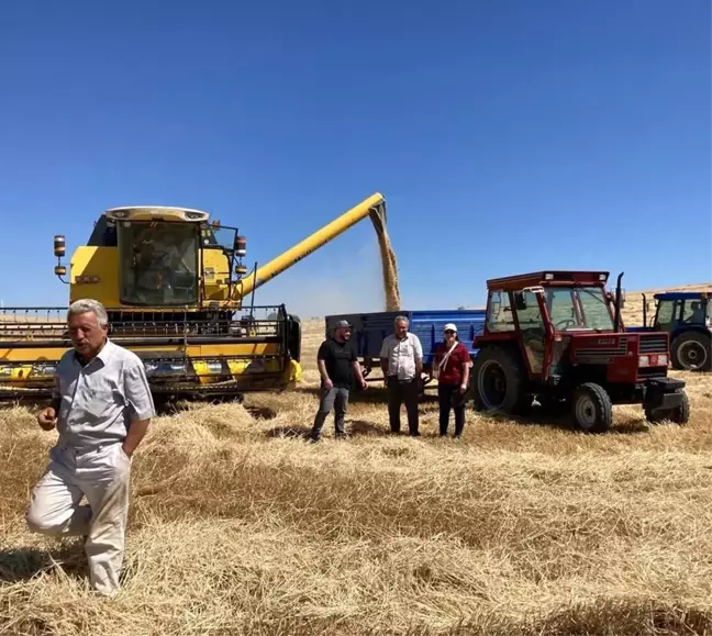 Afyonkarahisar'da Hububat İsrafını Önlemek İçin Biçerdöver Kontrolleri Başladı