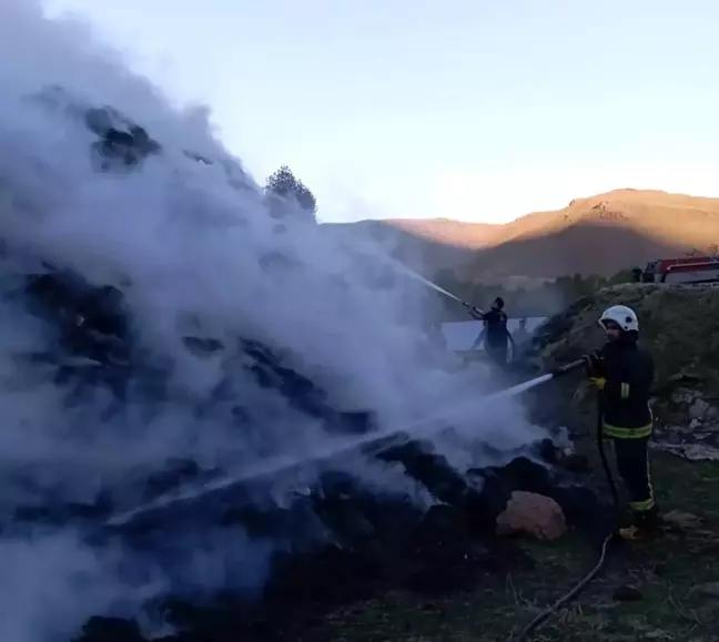 Muradiye'de Ot Yığını Yangını: 9 Bin 500 Bağ Ot Yanarak Küle Döndü