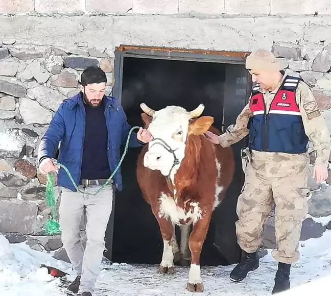 Kardaki Toynak İzleri Hırsızlık Zanlısını Yakalattı