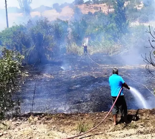 Son dakika haber! Karacasu'daki arazi yangını kontrol altına alındı