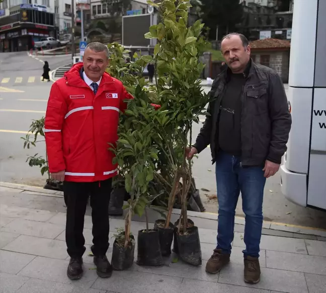 Rize'de Kan Bağışına 5 Meyve Fidanı Hediye Ediliyor