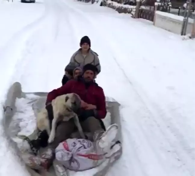 Köpeklerini de yanlarına aldılar, kanepeyle doyasıya kaydılar