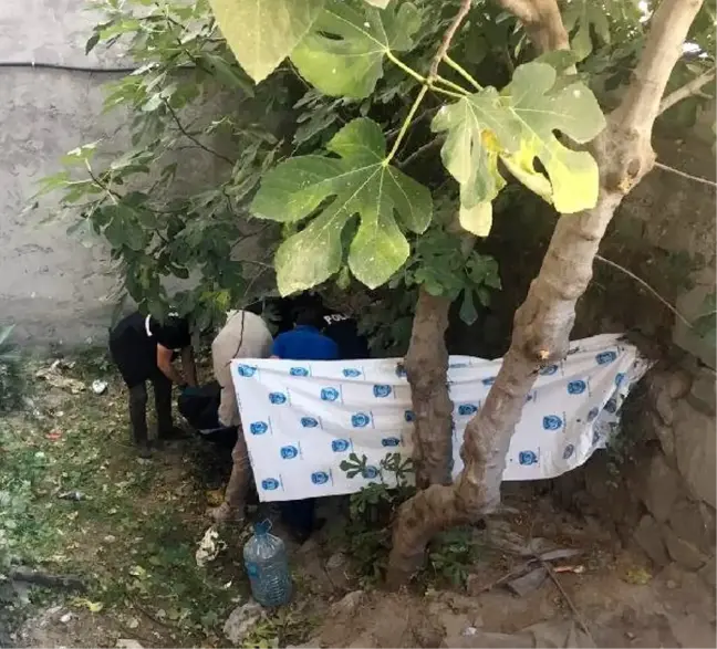 Bahçede ölü bulundu